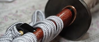 Pavel Bolf - katana tensho koshirae