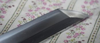 Pavel Bolf - Tachi in the style of Denta Mitsuyo