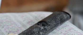 Pavel Bolf - Muramasa tanto