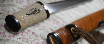 Pavel Bolf - Tanto in aikuchi koshirae