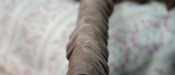 Pavel Bolf - katana tensho koshirae