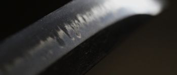 Pavel Bolf - Tanto in aikuchi koshirae