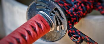 Pavel Bolf - Katana v tensho koshirae, Tsuba