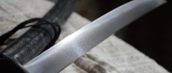 Pavel Bolf - Wakizashi shoto