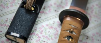 Pavel Bolf - Sunobi tanto in the style of the Mino school