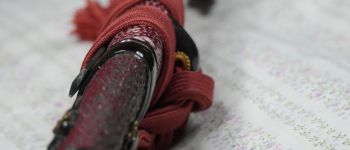 Pavel Bolf - Hira zukuri tanto in aikuchi koshirae