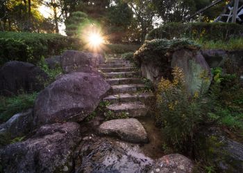 Pavel Bolf, way to Japan