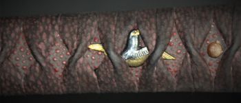 Pavel Bolf - Ó-Ható katana