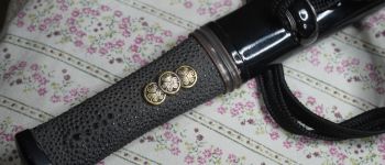 Pavel Bolf - Tanto in aikuchi koshirae