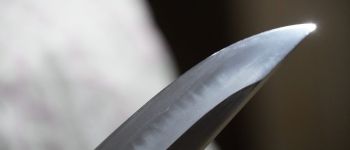 Pavel Bolf - Tanto in aikuchi koshirae