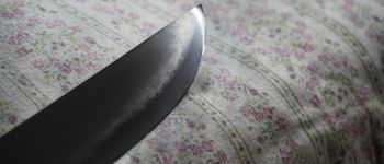 Pavel Bolf - Hira zukuri tanto in aikuchi koshirae