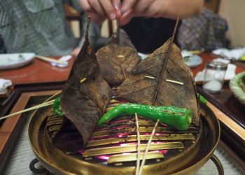 Pavel Bolf, way to Japan