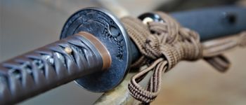 Pavel Bolf - Tachi in uchigatana koshirae, Kamakura Ichimonji style, , Tsuba