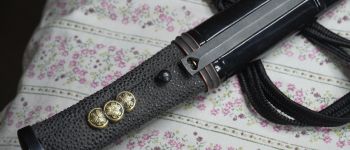 Pavel Bolf - Tanto in aikuchi koshirae