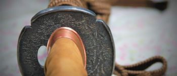 Pavel Bolf - O-wakizashi, tensho koshirae, Tsuba