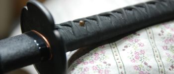 Pavel Bolf - Katana in the style of the Nambokucho period