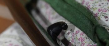 Pavel Bolf - Tachi in the style of Denta Mitsuyo