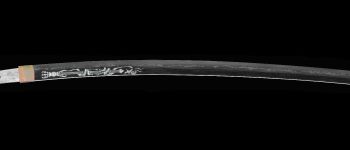 Pavel Bolf - Contrasty display katana blade