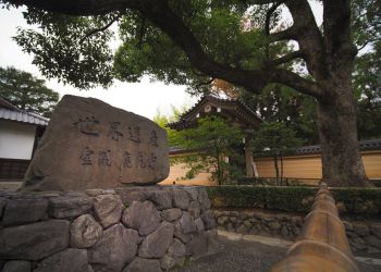 Pavel Bolf, way to Japan