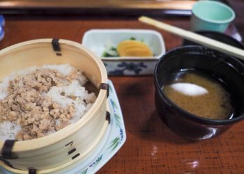 Pavel Bolf, way to Japan