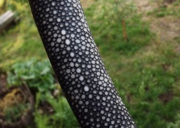 Pavel Bolf - Folded steel and oroshigane steel knives