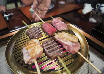 Pavel Bolf, way to Japan