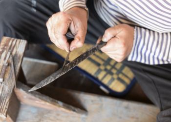 Pavel Bolf, way to Japan