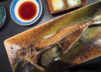 Pavel Bolf, way to Japan