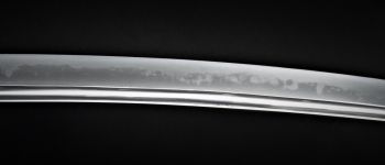 Pavel Bolf - Tachi in Ichimonji style