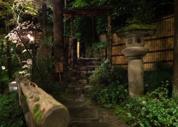 Pavel Bolf, way to Japan