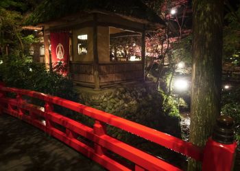 Pavel Bolf, way to Japan