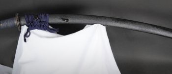 Pavel Bolf - Tachi in Ichimonji style