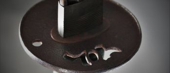 Pavel Bolf - Tachi ve stylu Bungo Yukihira  Tsuba