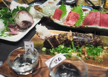 Pavel Bolf, way to Japan