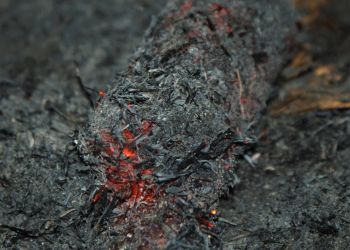 Pavel Bolf, small photo gallery of tanto forging