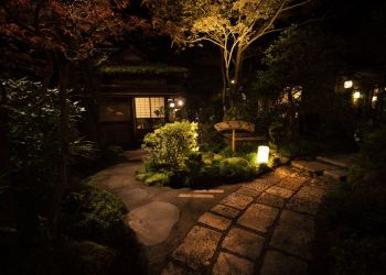 Pavel Bolf, way to Japan