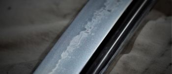 Pavel Bolf - Tachi in Ichimonji style