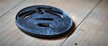 Pavel Bolf - Katana in tensho koshirae, Tsuba