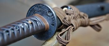 Pavel Bolf - Tachi in uchigatana koshirae, Kamakura Ichimonji style, , Tsuba