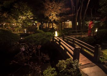 Pavel Bolf, way to Japan