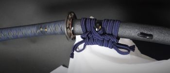 Pavel Bolf - Tachi in Ichimonji style