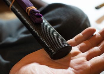 Pavel Bolf, way to Japan