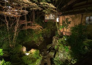 Pavel Bolf, way to Japan