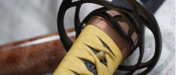 Pavel Bolf - Tachi in uchigatana koshirae, same saya, fuchi