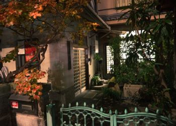 Pavel Bolf, way to Japan