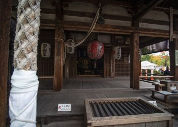 Pavel Bolf, way to Japan