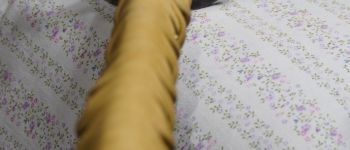 Pavel Bolf - Tachi in uchigatana koshirae, same saya