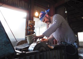 Pavel Bolf, way to Japan