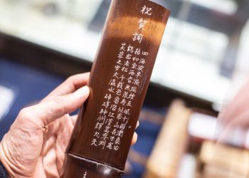 Pavel Bolf, way to Japan